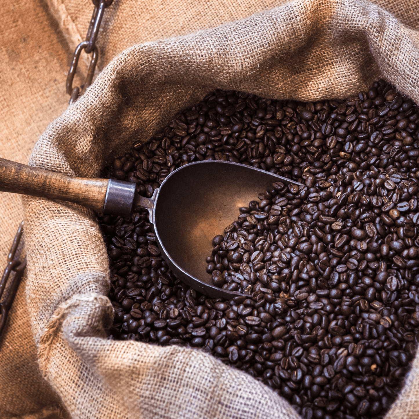 (Unbranded) "Boss Mode Blend" Premium Coffee - 5lb