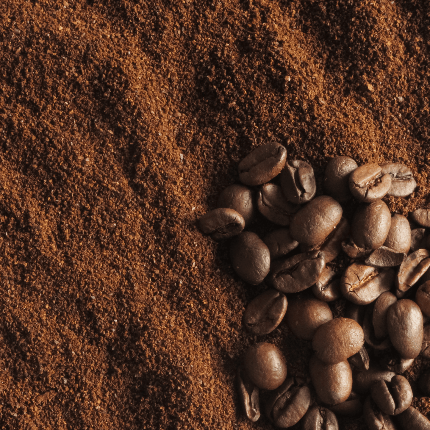 (Unbranded) "Procrastination Buster" Premium Coffee - 5lb