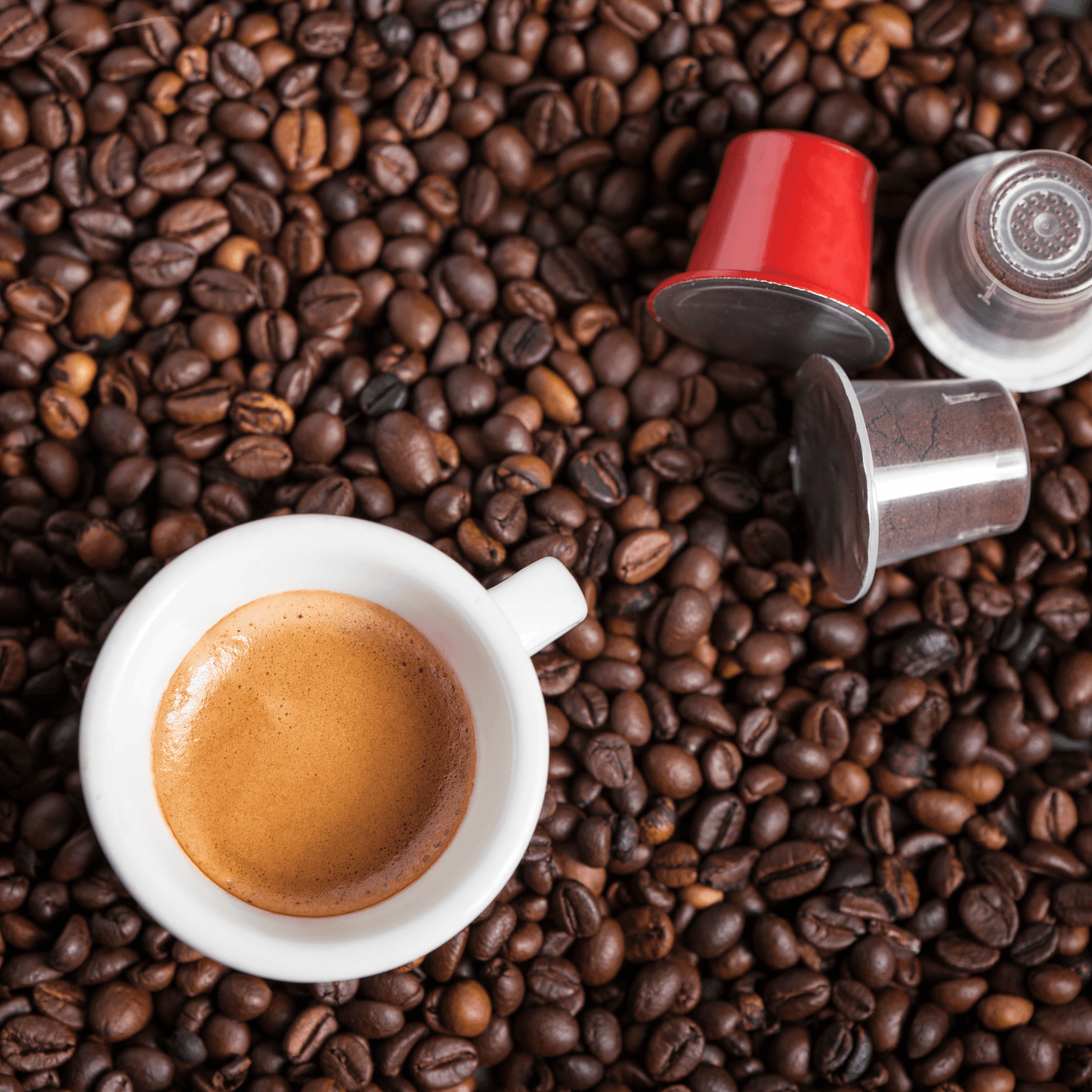 "Brain Burst Blend" - Coffee Pods - 12ct