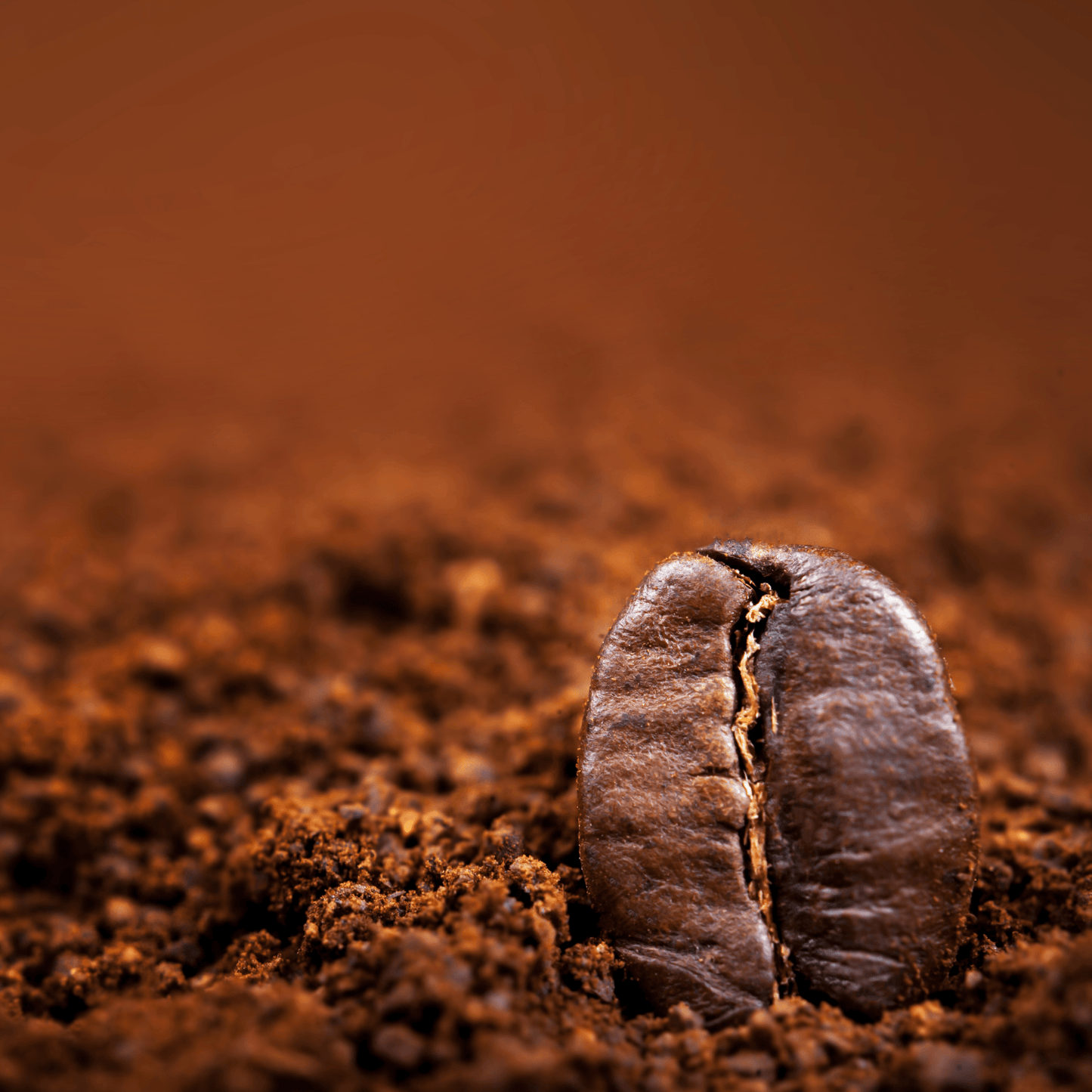 "Brain Burst Blend" - Coffee Pods - 12ct