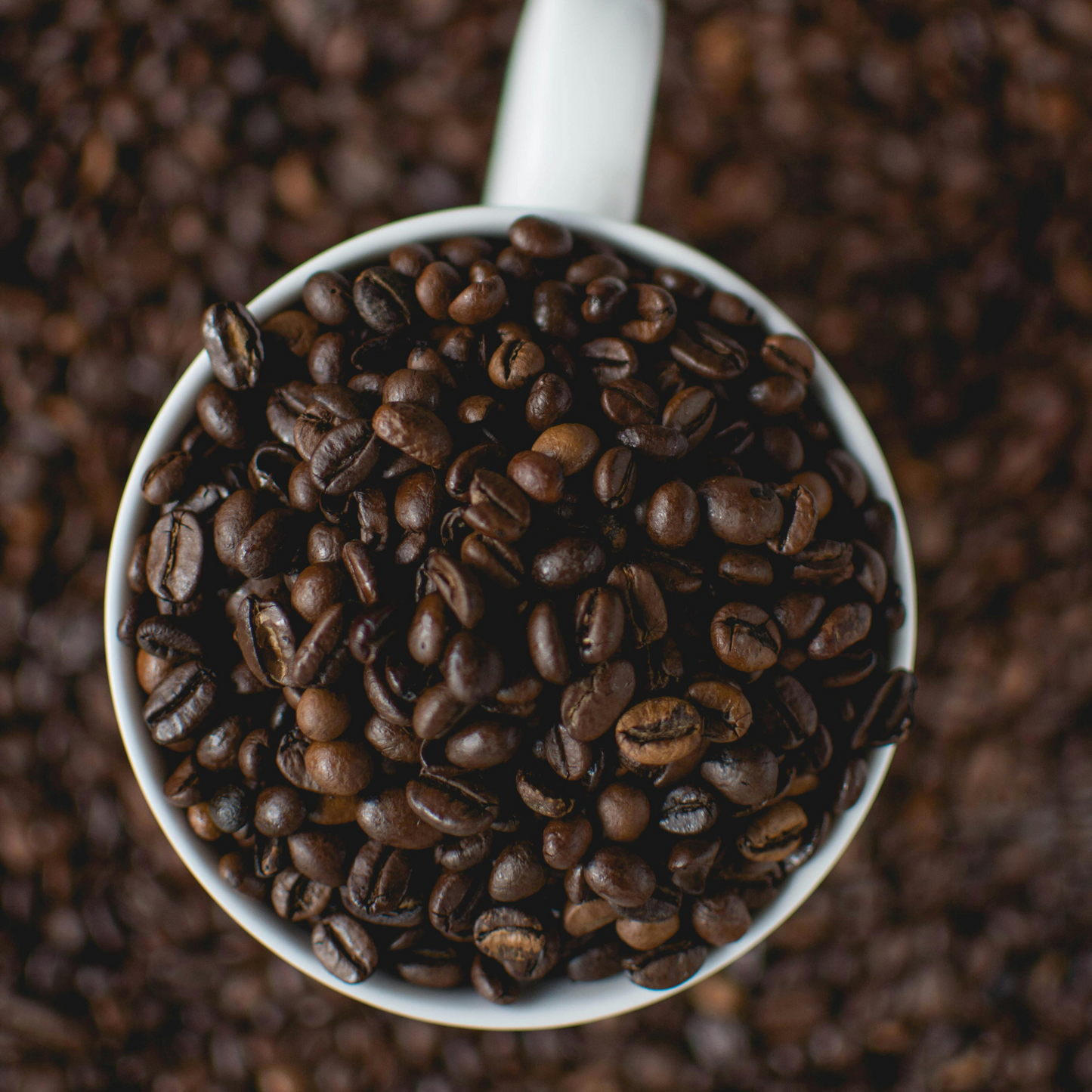 (Unbranded) "Comfort Zone Crusher" Premium Coffee - 5lb