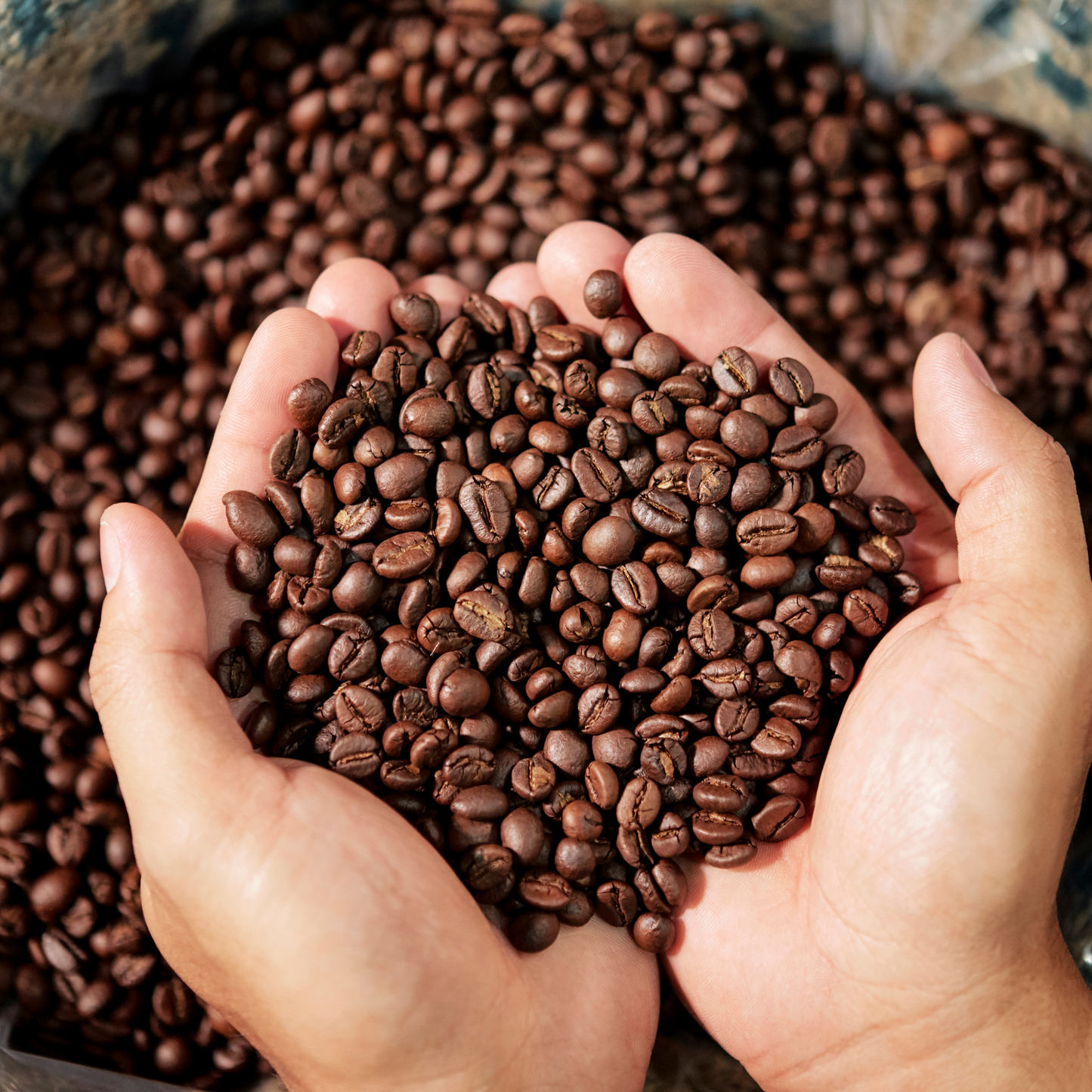 (Unbranded) "Procrastination Buster" Premium Coffee - 5lb