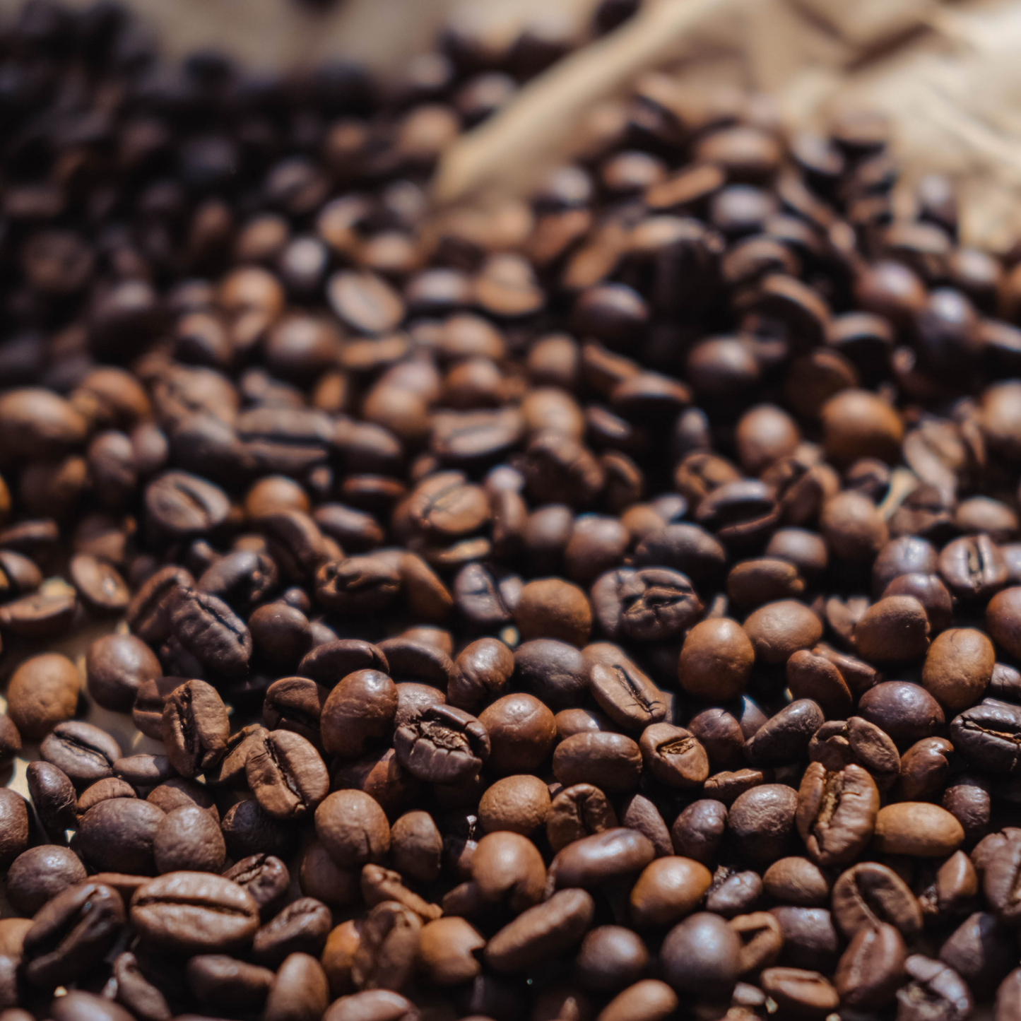 (Unbranded)"Colombian Motivation" Premium Coffee - 5lb