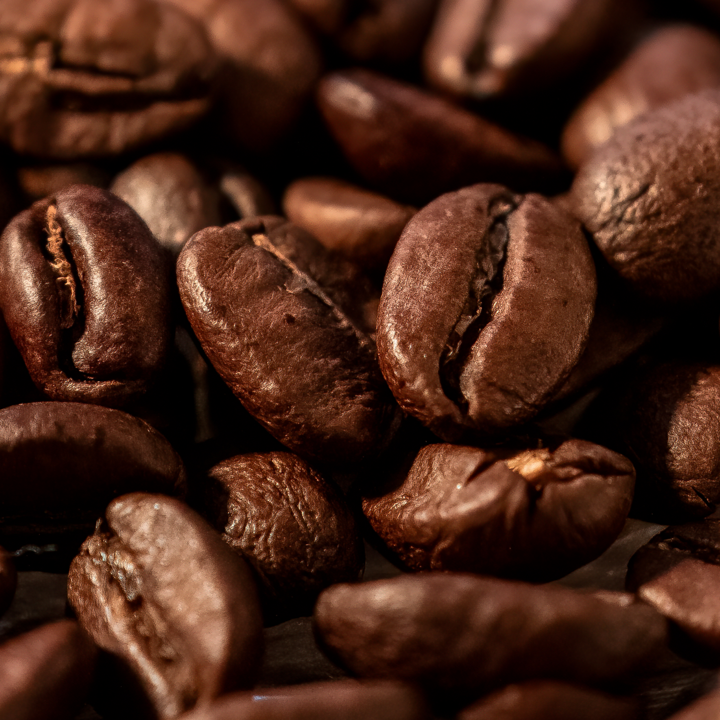 (Unbranded) "Root to Success" Premium Coffee -5lb