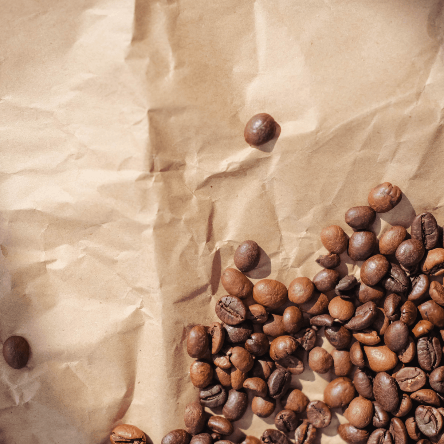(Unbranded) "Spark of Genius" Premium Coffee -5lb