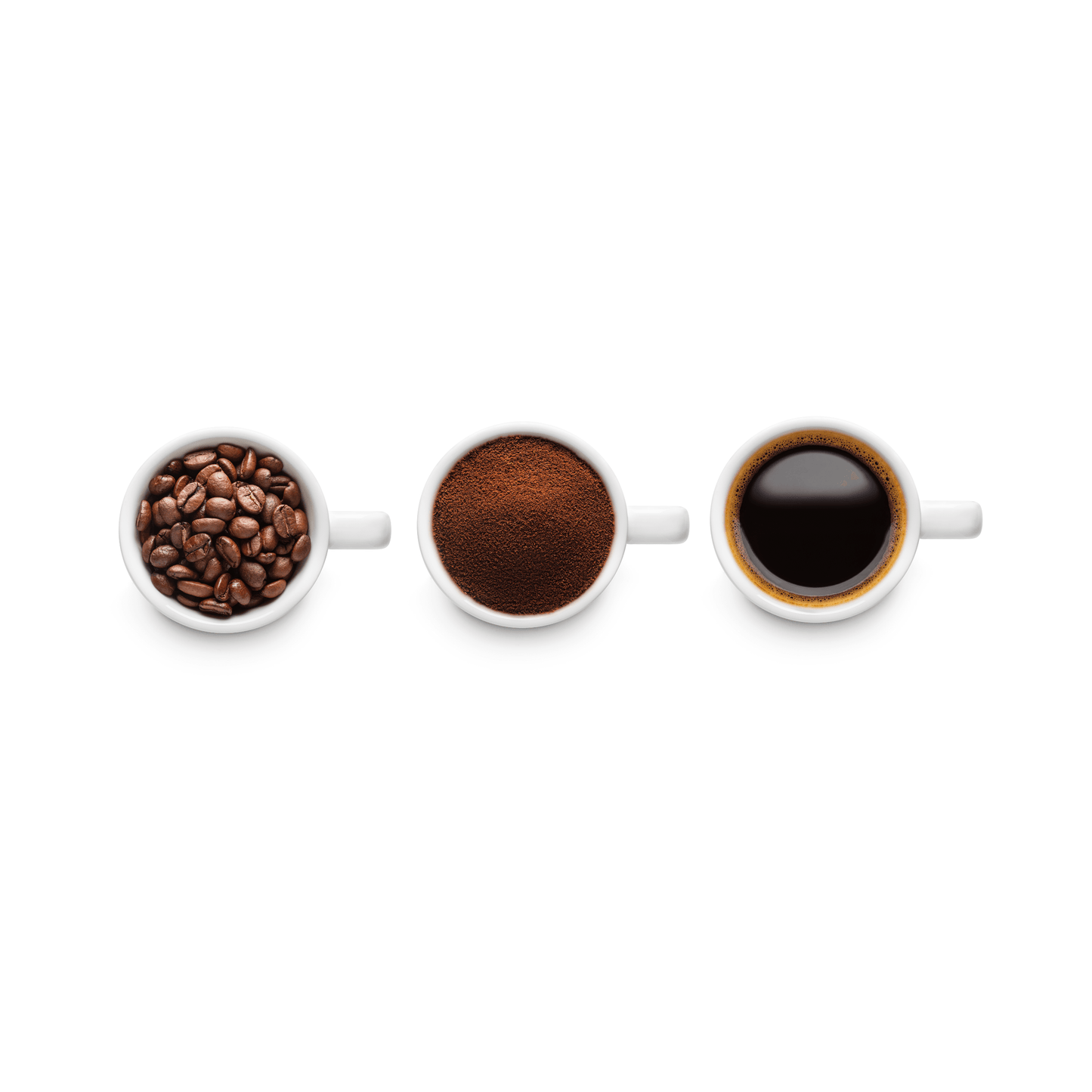 "Paradise Found" Premium Coffee - 12oz