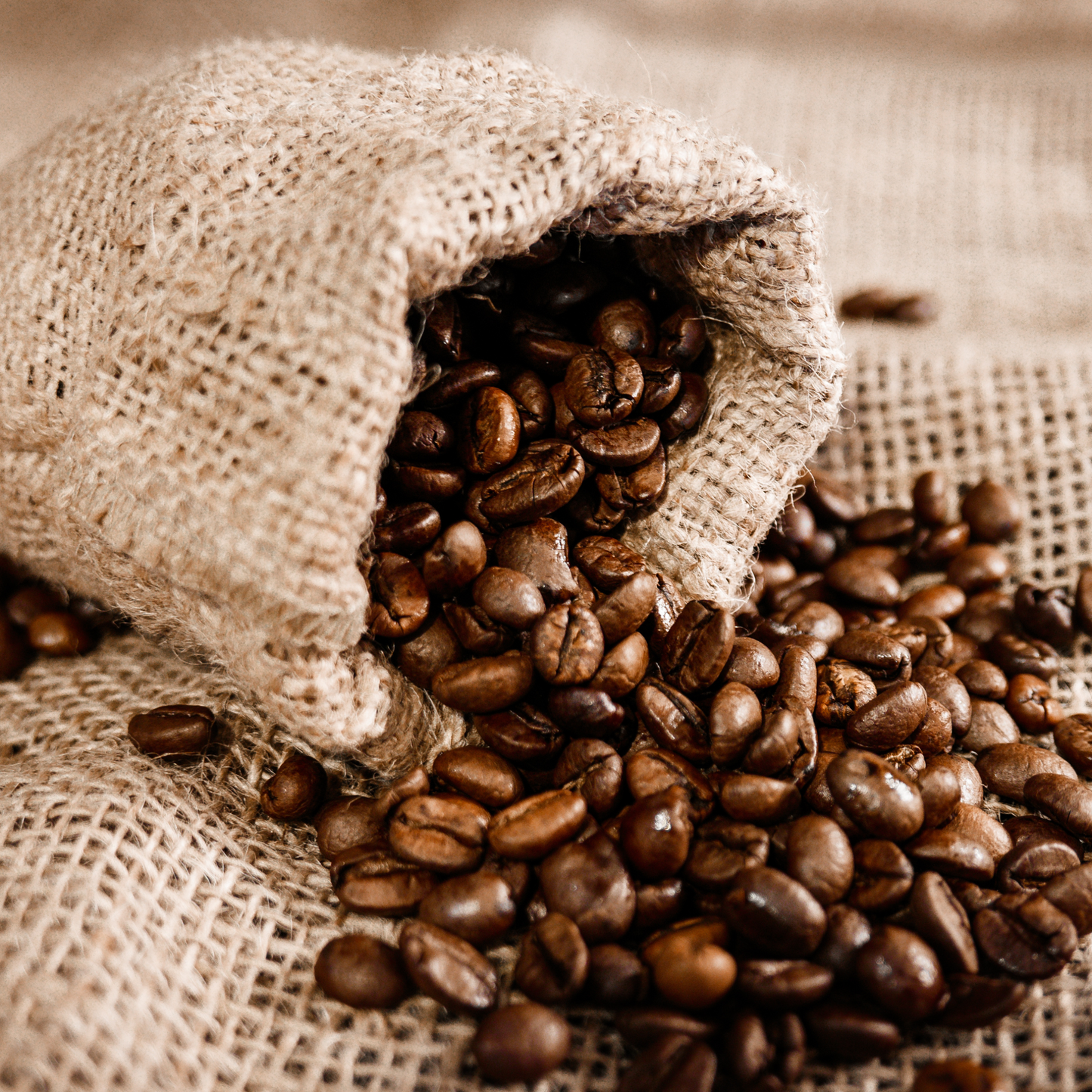 (Unbranded) "Brain Burst Blend" Premium Coffee - 5lb