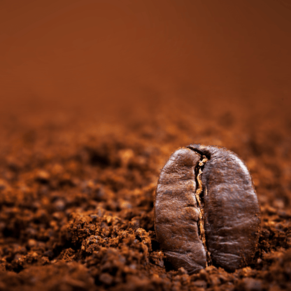 "Brain Burst Blend" - Coffee Pods - 12ct