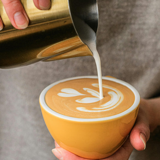 "Brain Burst Blend" Premium Coffee - 12oz